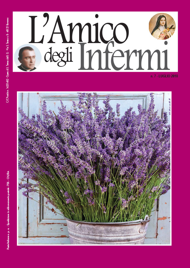 Amico degli Infermi
