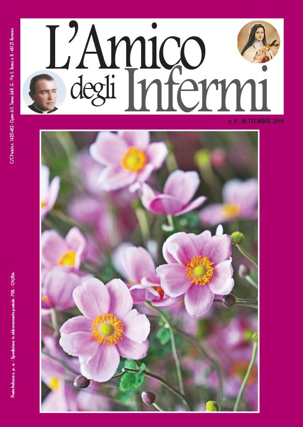 Amico degli Infermi